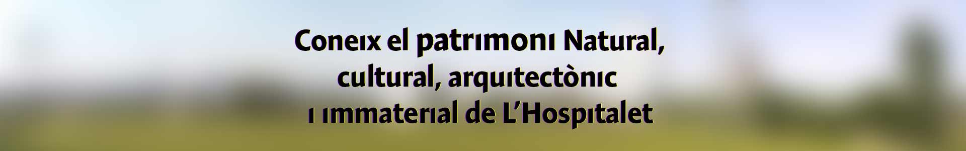 patrimonilh-slider02